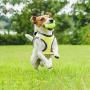 PAWISE Dog Harness No Pull Pet Reflective Mesh Soft Padded Mesh Walking Vest with 2 Leash Clips