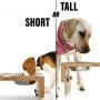 Prosumers Choice Bamboo Adjustable Height Dog Bowls and Stand - 4.7 to 7.7 Inches Tall