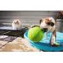 Jolly Pets Soccer Ball Floating-Bouncing Dog Toy