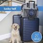 Dog Travel Bag for Supplies - Make Travel Easier with Our Dog Bag for Travel - Includes Pet Travel Bag Organizer, 2 Collapsible Dog Bowls, 2 Dog Food Travel Bag - Dog Travel Bags for Dogs on The Go