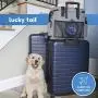 Dog Travel Bag for Supplies - Make Travel Easier with Our Dog Bag for Travel - Includes Pet Travel Bag Organizer, 2 Collapsible Dog Bowls, 2 Dog Food Travel Bag - Dog Travel Bags for Dogs on The Go Dog Travel Bag for Supplies - Make Travel Easier with Our Dog Bag for Travel - Includes Pet Travel Bag Organizer, 2 Collapsible Dog Bowls, 2 Dog Food Travel Bag - Dog Travel Bags for Dogs on The Go