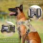 WINSEE Tactical Dog Harness and Collar Large, 3X Metal Buckles, Working Dog MOLLE Vest with Handle & Loop Panels, No Pull Adjustable Training Pet Harness with Leash Clips for Walking Hiking Hunting