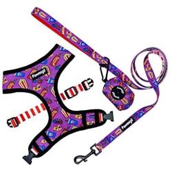 Pawmigo Saturday & Chill Essentials Set for French Bulldogs, Boston Terriers, Pugs, & Other Compact Dogs