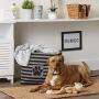 Bone Dry Pet Storage Collection Striped Paw Patch Bin, Large Rectangle, Black