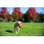 Chuckit Kick Fetch Toy Ball for Dogs, Large (2 Pack)