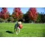 Chuckit Kick Fetch Toy Ball for Dogs, Large (2 Pack) Chuckit Kick Fetch Toy Ball for Dogs, Large (2 Pack)