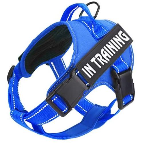 No Pull Dog Harness with Reflective Straps Adjustable Service Dogs Vest with Nylon Handle Easy Control in Training Pet Halters with Hook Oxford Fabric for Small Medium Large Dogs