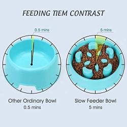 JASGOOD Slow Dog Bowl,Fun Slow Feeder Dog Bowl,Anti-Gulping Dog Slow Feeder Stop Bloat,Slow Eating Dog Bowl