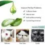 GARYOB Pet Dental Fingers Wipes, 50 Wipes & Pet Dental Fingers Wipes 50 Wipes GARYOB Pet Dental Fingers Wipes, 50 Wipes & Pet Dental Fingers Wipes 50 Wipes