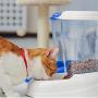 Ferplast Zenith Cat and Dog Food Dispenser, 29.2 x 20.2 x 28.8 cm, 3 Liter