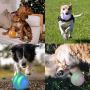 Mould King Wicked Toys Balls for Dogs andCats, 100% Automatic and Interactive Ball to Keep Your Dogs/Cats Company All Day, Your Pets Joy When Home Alone -NOT for Dog CHEWERS (Blue)