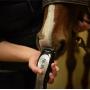 Wahl Professional Animal Pro Ion Equine Cordless Horse Clipper and Grooming Kit (#9705-100)