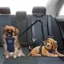AUTOWT Double Dog Seat Belt, New Dual Pet Car Headrest Restraint Safety Seatbelt No Tangle Dog Leash Duty Adjust Elastic Bungee Puppy Lead Splitter Connect Harness in Vehicle Travel for 2 Dogs AUTOWT Double Dog Seat Belt, New Dual Pet Car Headrest Restraint Safety Seatbelt No Tangle Dog Leash Duty Adjust Elastic Bungee Puppy Lead Splitter Connect Harness in Vehicle Travel for 2 Dogs