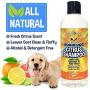 New Refreshing Orange Citrus Dog Shampoo | Coconut and Aloe Vera | All Natural Soothing & Moisturizing Pet Dog Puppy and Cat Wash - Made in USA - 1 Bottle 17oz (503ml)