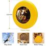 Pet Frisbee Flying Disc Dog Toy - Multifunction Christ Washing Peters Feet Ford Madox Brown