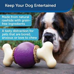 PetSafe Busy Buddy Bouncy Bone, Treat Holding Dog Toy, Small, Medium, Medium/Large and Large Sizes