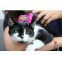Furminator DeShedding Tool Head for Cats FURflex, All Hair Cats Over 4.5 Kg