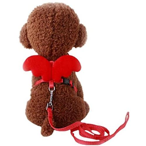 Budd Pet Dog Leash Adjustable Harness Puppy Leads and Collars Set for Small Doggie Kitten Vest Strap