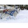 Neewa X-Back Racing Harness