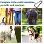 Noryika Collapsible Dog Bowls [2 Pack], Silicone Food & Water Travel Bowl with Lids & Carabiners for Dogs Cats, Portable Travel Pet Bowl for Walking Camping, Kennels & Camping, Blue + Green