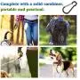 Noryika Collapsible Dog Bowls [2 Pack], Silicone Food & Water Travel Bowl with Lids & Carabiners for Dogs Cats, Portable Travel Pet Bowl for Walking Camping, Kennels & Camping, Blue + Green