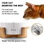 Popuava Ceramic Raised Cat Bowl, 20 Ouncus Cat Food Bowls or Water Bowls Without Lead and Chrome, Pet Bowl with Bamboo Wooden Frame not Easily Overturned, Gifts for Cats and Puppy Pink