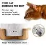 Popuava Ceramic Raised Cat Bowl, 20 Ouncus Cat Food Bowls or Water Bowls Without Lead and Chrome, Pet Bowl with Bamboo Wooden Frame not Easily Overturned, Gifts for Cats and Puppy Pink