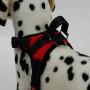 BFIT Dog Harness