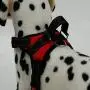 BFIT Dog Harness BFIT Dog Harness