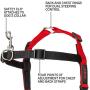 Halti Front Control Harness and Training Lead Combination Pack