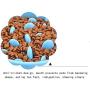 Feeder Slo-Bowl , Feeder Dog Bowl Slow Feeder Stop Bloat for Dogs ,Dog Feeder Slow Eating Pet Bowl （Blue）