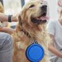 Large Collapsible Dog Bowl,Hiking Dog Bowl for Large Dogs Lightweight,Durable,Leak Proof,Food Safe,Easy To Clean, Premium Quality Travel Pet Bowl Solution,Perfect For Travlling,Camping With Your Pet