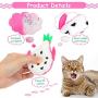 Sumind 13 Pieces Plush Catnip Toys Interactive Cat Toys Cat Chewing Toys Fruit Shape Cat Playing Toys Cartoon Cat Entertaining Toys for Pet Kitten Cat Playing Chewing Grinding Claw and Teeth Cleaning