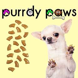 Purrdy Paws 40-Pack Soft Nail Caps for Dogs Claws Gold Glitter