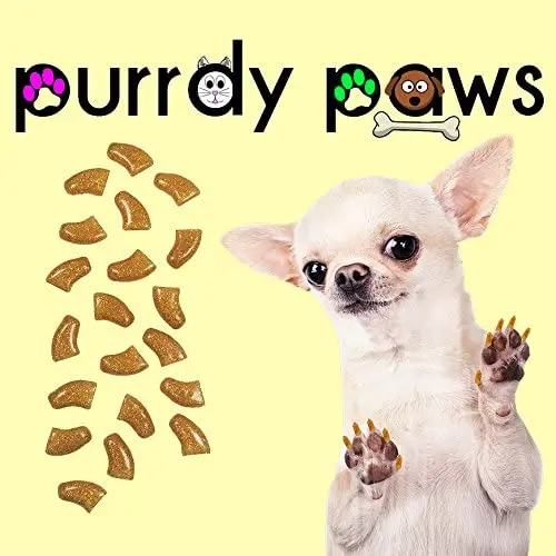 Purrdy Paws 40-Pack Soft Nail Caps for Dogs Claws Gold Glitter Purrdy Paws 40-Pack Soft Nail Caps for Dogs Claws Gold Glitter