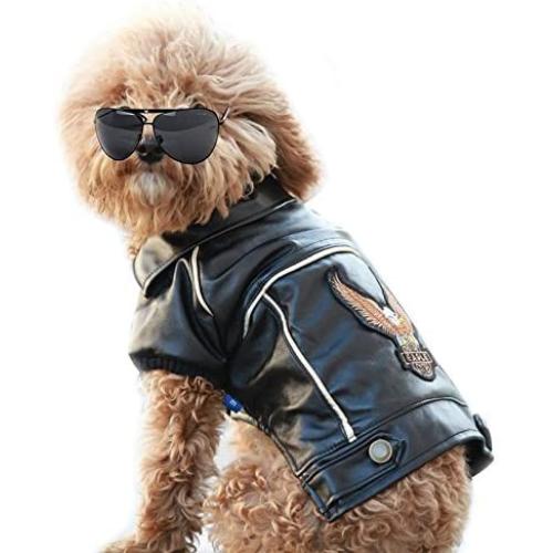 Cuteboom Dog Winter Coat Pu Leather Motorcycle Jacket for Dog Pet Clothes Leather Jacket, Waterproof (XS) Cuteboom Dog Winter Coat Pu Leather Motorcycle Jacket for Dog Pet Clothes Leather Jacket, Waterproof (XS)