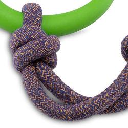 Beco Rubber Hoop on Rope Dog Toy