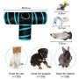 Cat Tunnel, Cat Tunnels for Indoor Cats, Tube Cat Toys 3 Way Collapsible, Kitty Tunnel Bored Cat Pet Toys Peek Hole Toy Ball Cat, Puppy, Kitty, Kitten, Rabbit