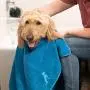 Bom Garoto Dog Grooming Kit with Absorbent Dog Towel and Dog Brush! Dog Grooming Brush Also Suitable Cat Brush, Rabbit Brush or Pet Hair Remover for Furniture. 50x30” Dog Bath Towel Microfiber Shammy Bom Garoto Dog Grooming Kit with Absorbent Dog Towel and Dog Brush! Dog Grooming Brush Also Suitable Cat Brush, Rabbit Brush or Pet Hair Remover for Furniture. 50x30” Dog Bath Towel Microfiber Shammy