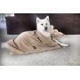 Set of 2 Super Absorbent Dog Drying Towels with Paw Prints - 1 Large, 1 Medium