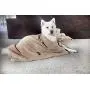Set of 2 Super Absorbent Dog Drying Towels with Paw Prints - 1 Large, 1 Medium Set of 2 Super Absorbent Dog Drying Towels with Paw Prints - 1 Large, 1 Medium
