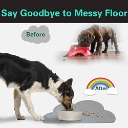 PINCTROT Pet Feeding Mat, Bowl Placemat for Cats Dogs, Tray with Raised Edges, Generous Size for Water Fountain Station, Food Grade Silicone