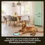 Iconic Pet Elegant 2 Pack Stainless Steel Color Splash Food/Water Bowls with Non Skid Noise Free Rubber Base