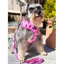 Pet Pooch Boutique Princess Pizza Dog Harness, 200 g, Size L, Pink