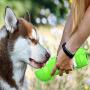 Dog Water Bottle Portable - 3 IN 1 Pet Water Bowl 300ML Drinking Cup with Little Shovel and Garbage Bags Box Dog Accessories - ABS Pet Water Bottle Outdoor for Walking Hiking Travel (Green)