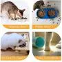 Ceramic Elevated Dog Bowls, Raised Dog and Cat Pet Feeder with Wooden Stand Water Food Comfort Diner Anti Slip Feet Reduce Neck Burden Easy to Clean