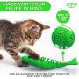 Ronton Cat Toothbrush Catnip Toy - Durable Hard Rubber - Cat Dental Care, Cat Interactive Toothbrush Chew Toy (2-Pack Green/Blue)