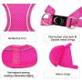 azuza Dog Harness for Small Dogs, Reflective Step in Dog Vest Harness, All Weather Comfort Air Mesh Puppy Harness