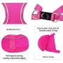 azuza Dog Harness for Small Dogs, Reflective Step in Dog Vest Harness, All Weather Comfort Air Mesh Puppy Harness azuza Dog Harness for Small Dogs, Reflective Step in Dog Vest Harness, All Weather Comfort Air Mesh Puppy Harness