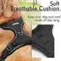 rabbitgoo Dog Harness & Dog Potty Training Pee Pads - Adjustable No Pull Dog Vest with Leash Clips(L) | Washable Pee Pads for Dogs and Cats Waterproof Large Puppy Pads Super Absorbent Non-Slip